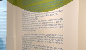 Lire