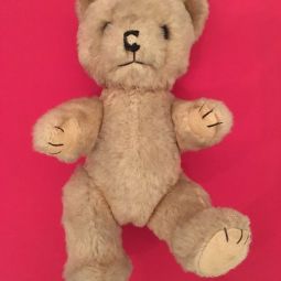 Ours en peluche 
