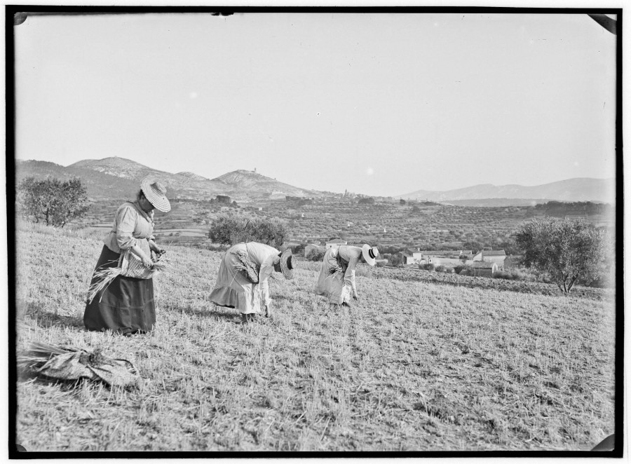  Edouard CORNET, les glaneuses (AMM, 115 Fi 1817)