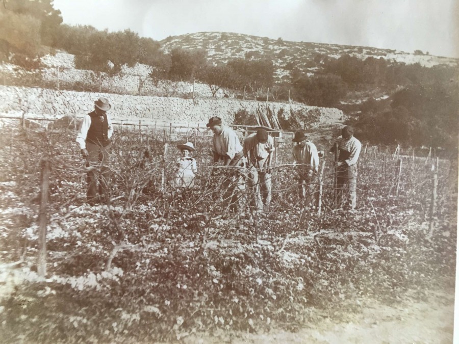 Le traitement de la vigne  Sainte-Marthe (coll. part.).JPG
